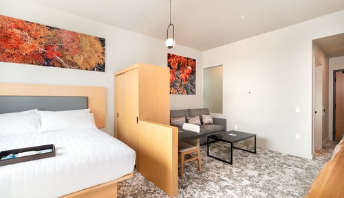 Standard Studio Suite, 1 King Bed with Sofa bed