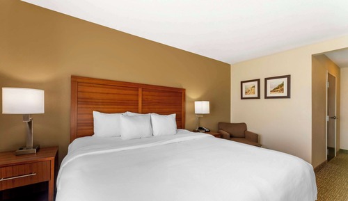 Room, 1 King Bed, Non Smoking