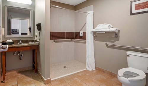 Suite, 1 King Bed, Accessible, Non Smoking (Roll-In Shower)