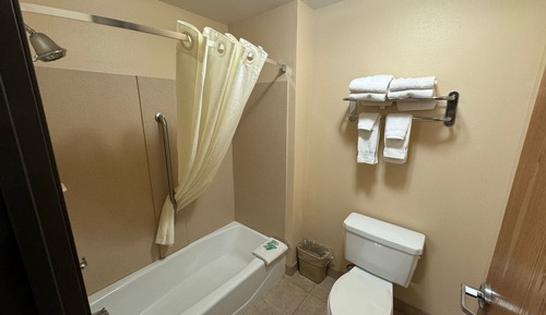 Room, 1 King Bed, Non Smoking