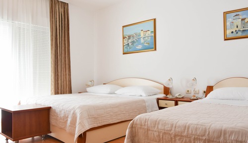 Basic Triple Room