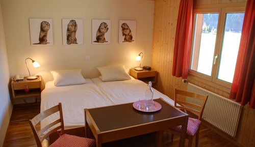 Basic Room