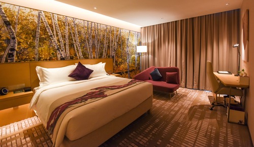 Premier Room, 1 King Bed, Business Lounge Access