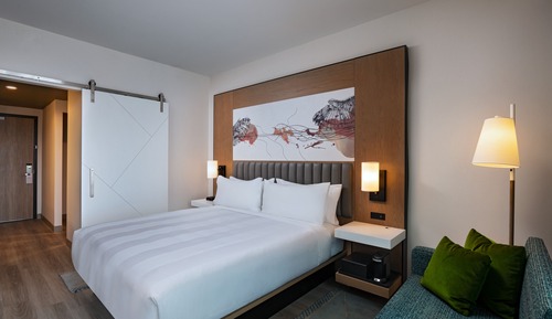 Room, 1 King Bed, Non Smoking