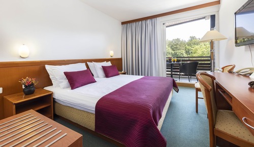 Standard Double Room, Park Side