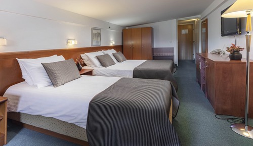Double Room (Attic)