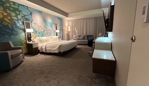 Room, 1 King Bed