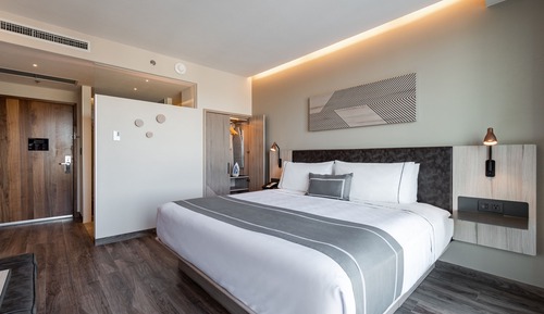 Room, 1 King Bed