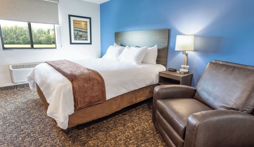 Room, 1 Queen Bed
