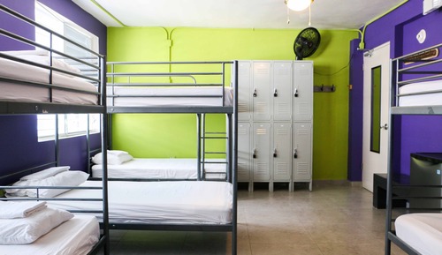 Basic Shared Dormitory, Mixed Dorm (1 bed in 8-bed dormitory)