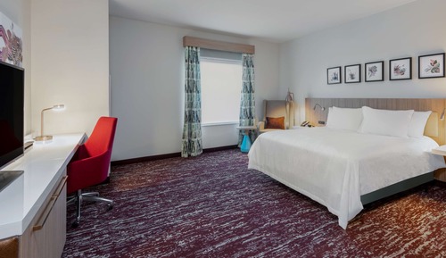 Room, 1 King Bed, Accessible, Bathtub (Hearing)