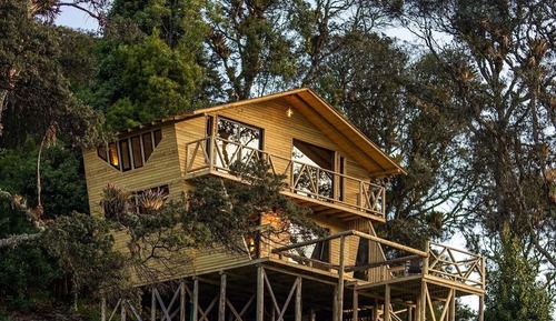 Cabin, Lake View