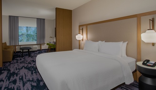 Suite, 1 King Bed with Sofa bed (Mobility Accessible, Roll-In Shower)