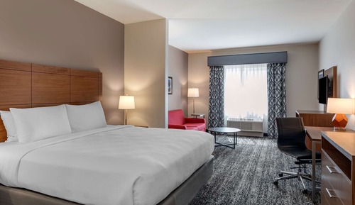 Suite, 1 King Bed, Accessible, Non Smoking (with Sofabed)