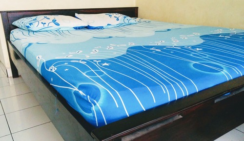 Economy Double Room (with Fan)