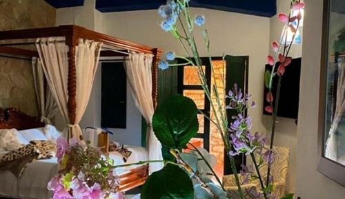 Romantic Studio Suite, Terrace