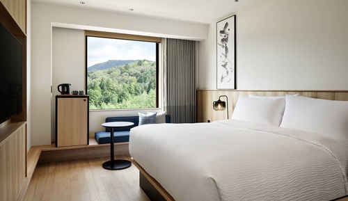Standard Room, 1 King Bed, Non Smoking