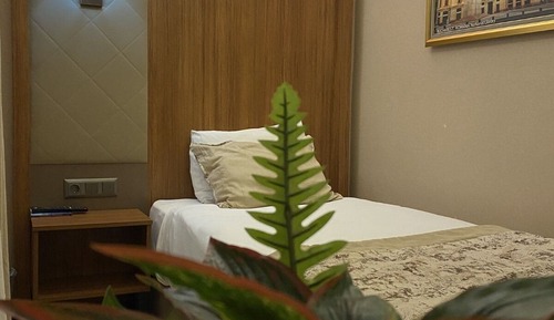 Classic Single Room, 1 Twin Bed