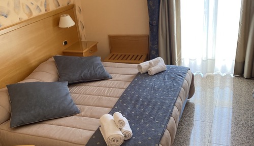 Business Double Room Single Use