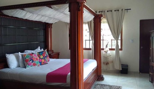Family Studio Suite
