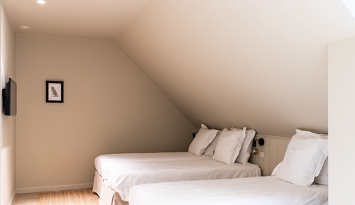 Comfort Triple Room