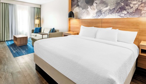 Suite, 1 King Bed, Non Smoking, Refrigerator & Microwave (Walk-in Shower;with Sofabed)