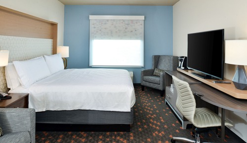Suite, 1 King Bed