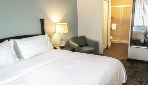 Suite, 1 Bedroom
