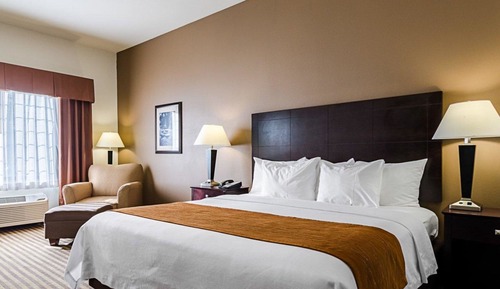 Standard Room, 1 King Bed, Non Smoking
