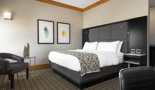 Suite, 1 King Bed