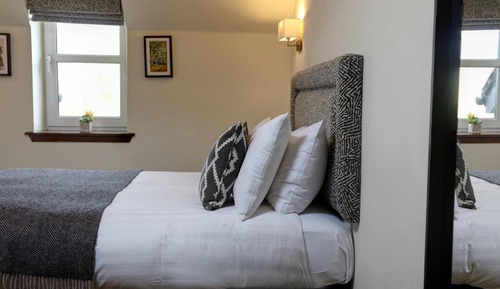 Standard Room, 1 King Bed, Non Smoking, Mountain View