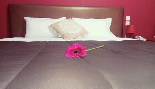 Standard Double Room, 1 Bedroom (Meteora View)