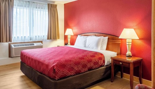Room, 1 Queen Bed, Accessible, Non Smoking