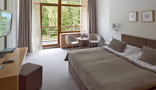 Double Room, Balcony, Forest View