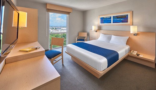 Room, 1 Queen Bed