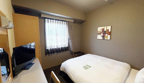 Single Room, Non Smoking
