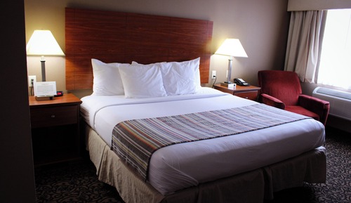 Standard Room, 1 King Bed, Non Smoking