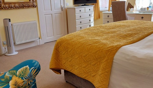 Superior Double or Twin Room, Ground Floor (Goodrington)