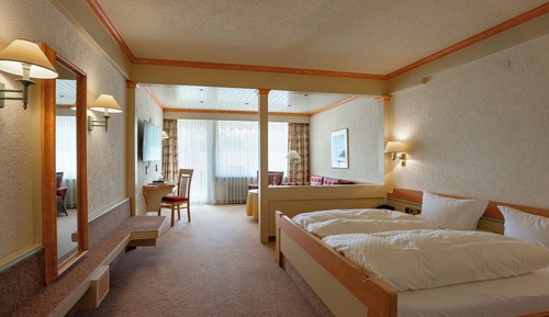 Comfort Double Room, Balcony (Apartment Guldenberg)