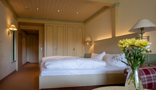 Standard Double Room, Balcony (Murg)