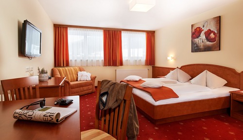 Standard Double Room, Mountain View