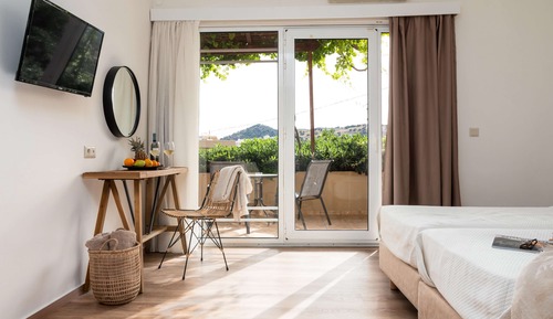 Superior Double or Twin Room