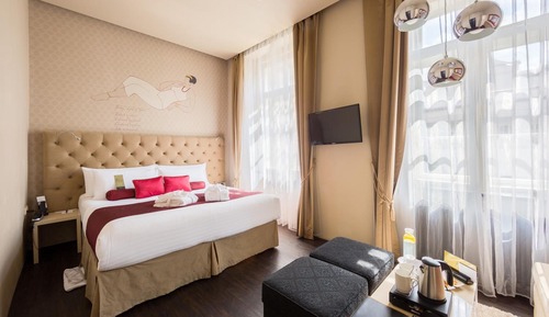 Superior Double or Twin Room