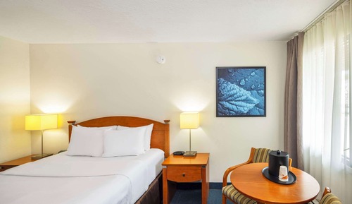 Standard Room, 1 Queen Bed, Non Smoking