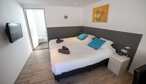 Comfort Double Room, 2 Twin Beds