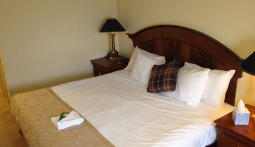 Deluxe Double or Twin Room