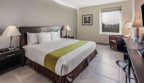 Room, 1 King Bed