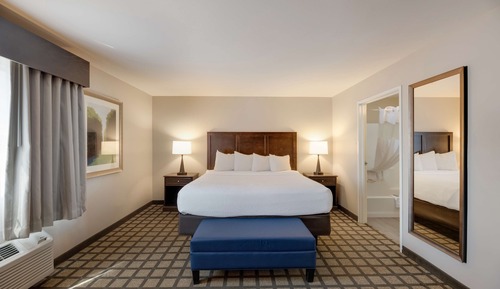Suite, 1 King Bed, Non Smoking, Refrigerator & Microwave (with Sofabed)