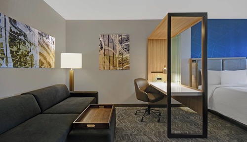 Suite, 1 King Bed with Sofa bed