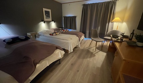 Basic Triple Room